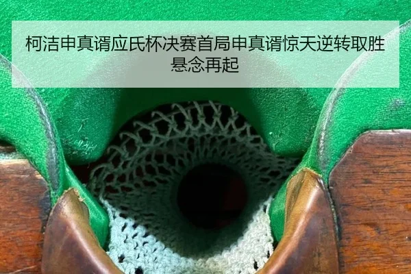 ke-jie-shen-zhen-xu-ying-shi-bei-jue-sai-shou-ju-shen-zhen-xu-jing-tian-ni-zhuan-qu-sheng-xuan-nian-zai-qi-2-729.jpg