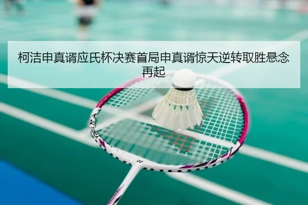 ke-jie-shen-zhen-xu-ying-shi-bei-jue-sai-shou-ju-shen-zhen-xu-jing-tian-ni-zhuan-qu-sheng-xuan-nian-zai-qi-3-234.jpg